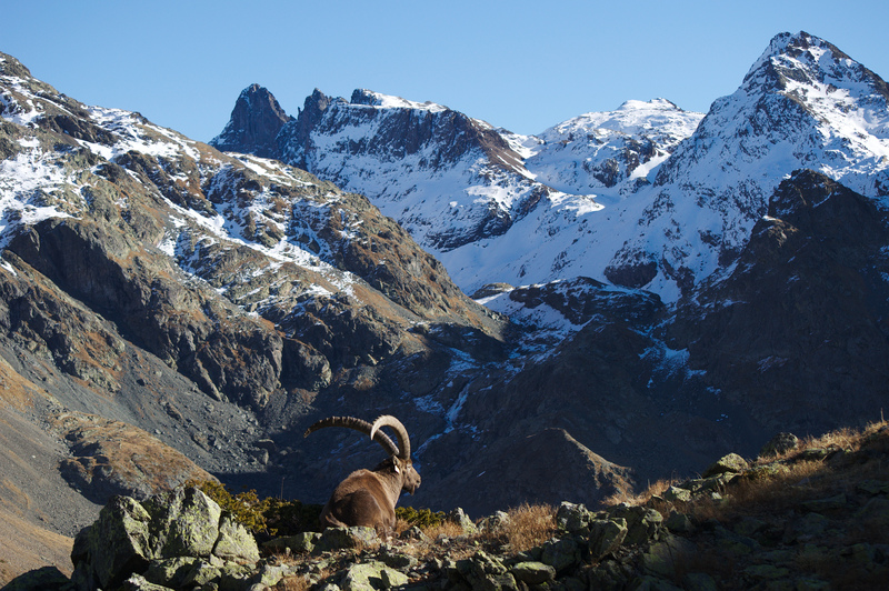 Grand Pic de Belledonne et Pic du Grand Doménon