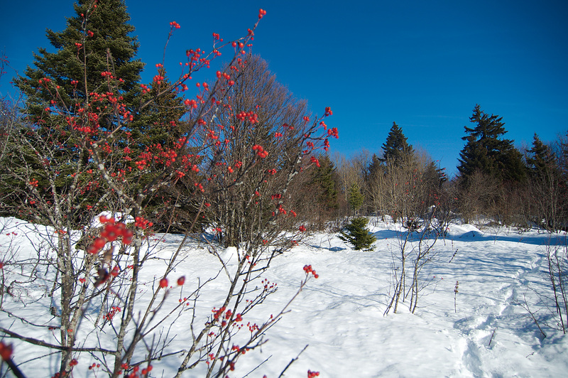 Beau contraste de couleurs