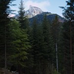 Pinéa depuis le Bois Ronzier.